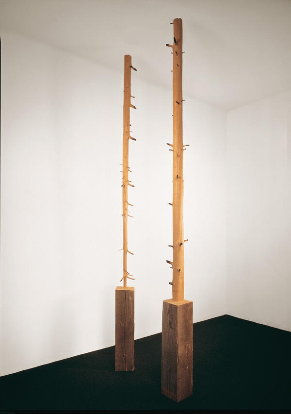 Giuseppe Penone | Pinault Collection