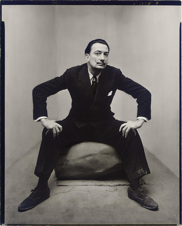 【IRVING PENN 】Irving Penn　　★★大幅に値下げしました Irving Penn | Pinault Collection