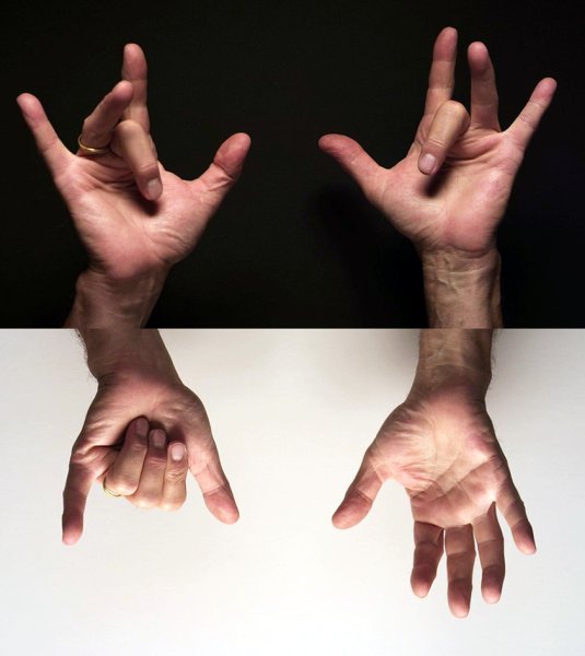 Hand References 1 by StyrbjornAndersson on DeviantArt
